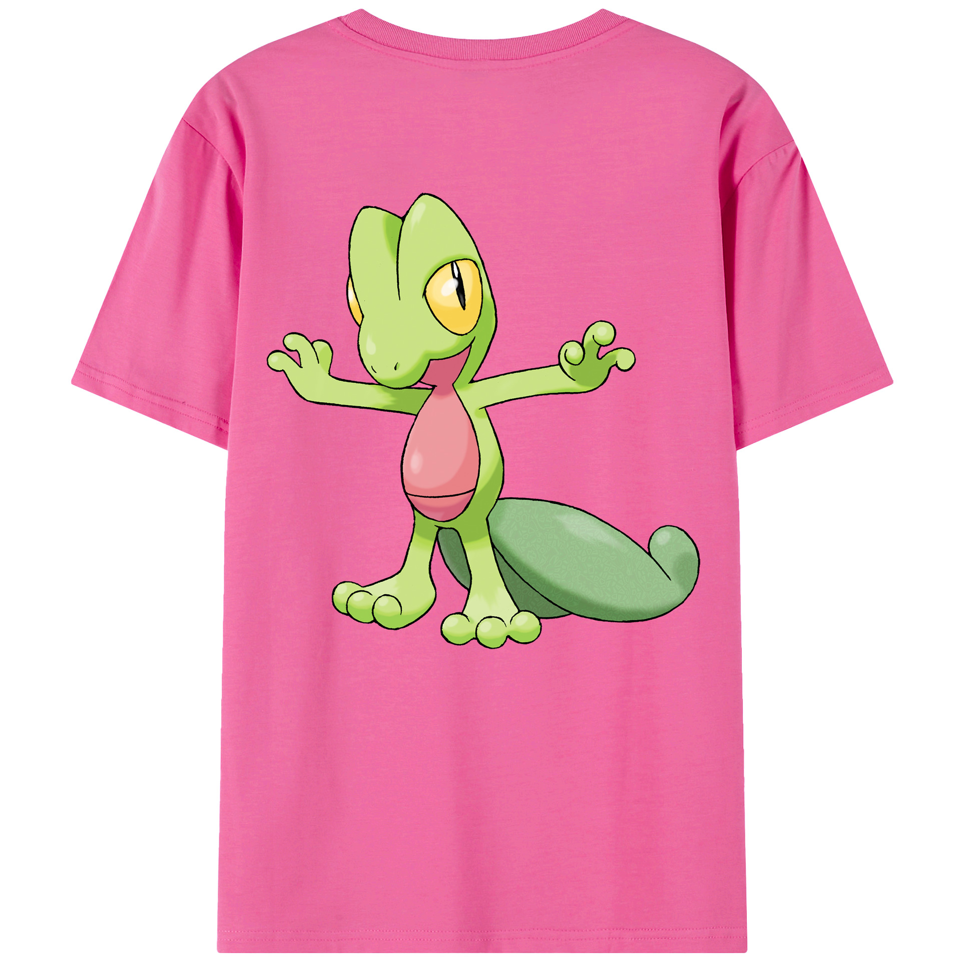 （画像用） ポケットモンスター Pokémon レディース半袖Tシャツ(バックプリント)